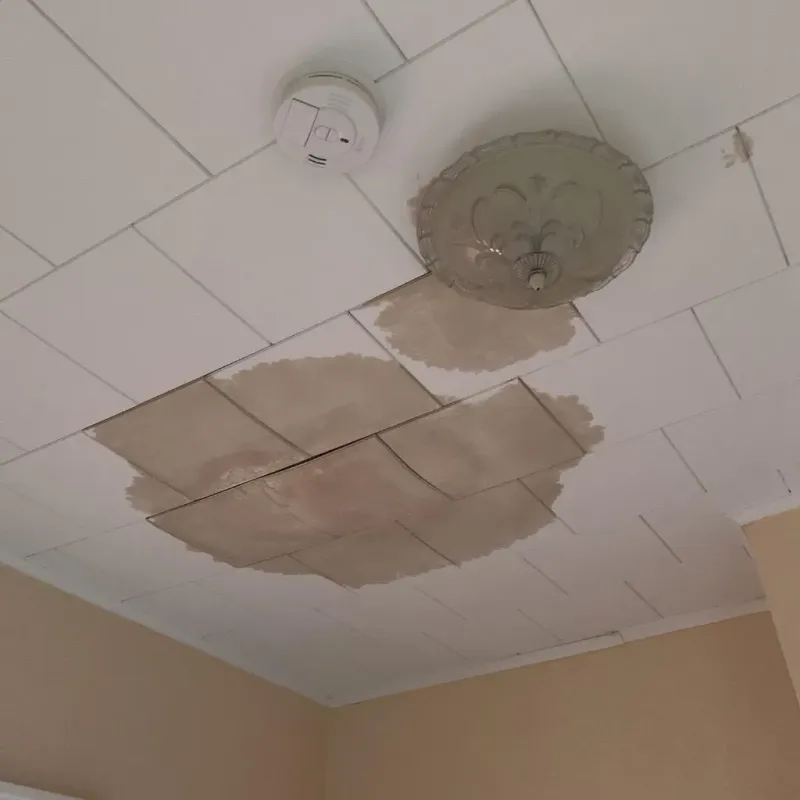 Ceiling Water Damage Repair in Brilliant, OH
