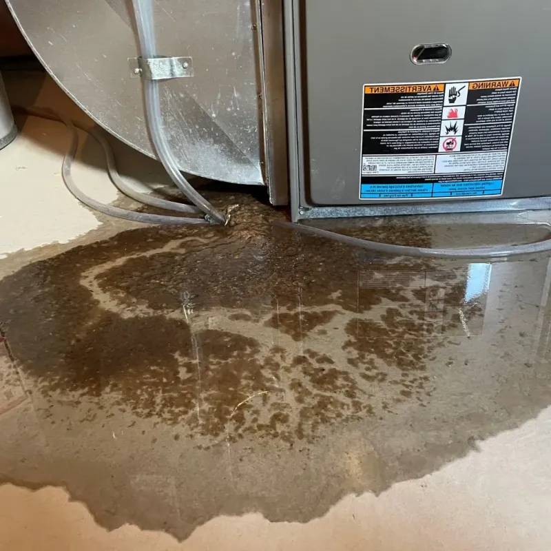 Pipe Burst and Leak Restoration in Brilliant, OH