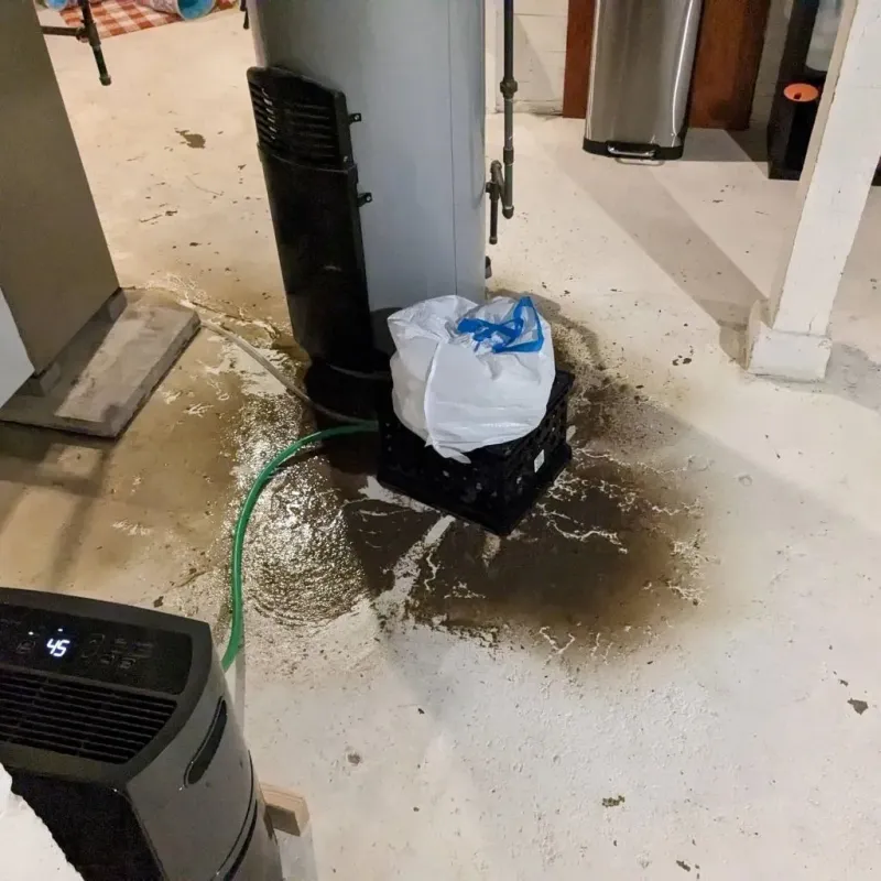 Sewage Backup Cleanup Service in Brilliant, OH